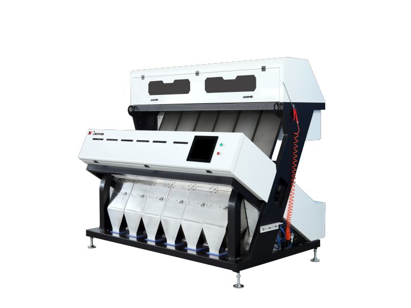 Chrysanthemum color sorter