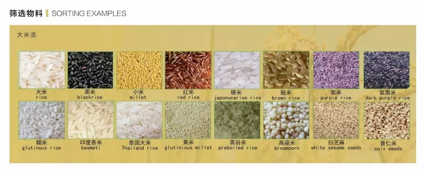 Automatic Rice Color Sorter